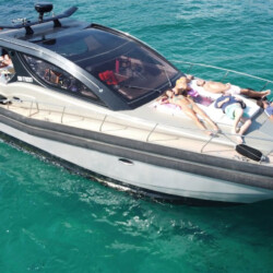 Cat Tender 45 1