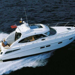 Sealine C39 Menton 1
