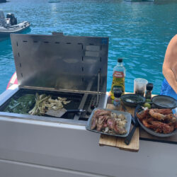 Fountaine Pajot Elba 45 Cannes 6