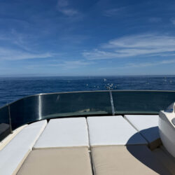 yacht VZ68 Villeneuve-Loubet 3