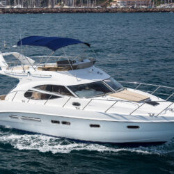 yacht Sealine F42-5 12